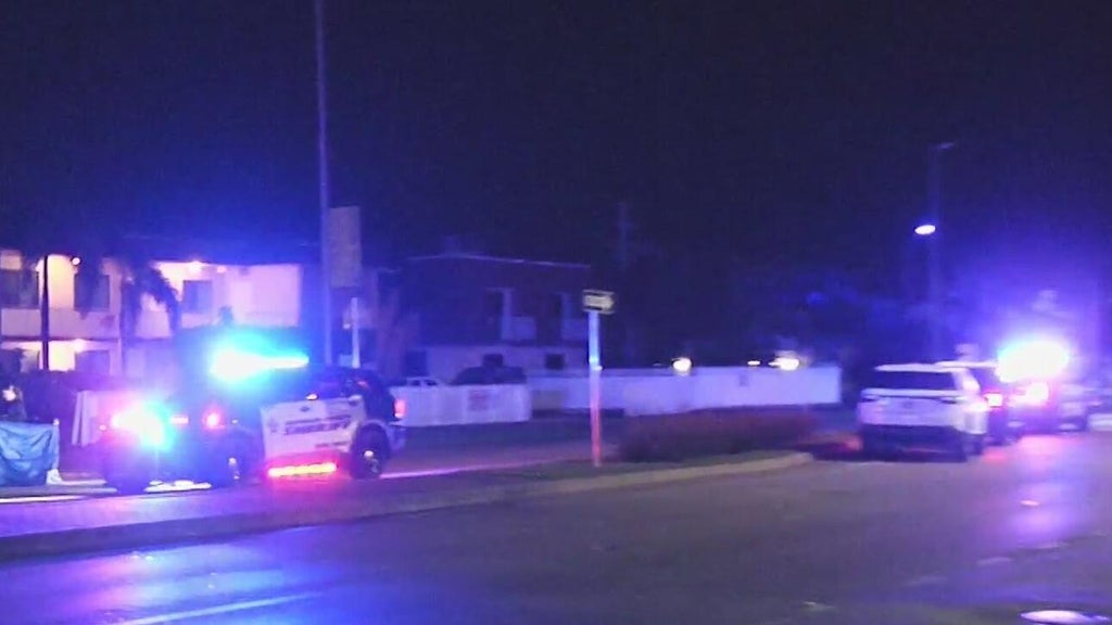 Woman accused of killing man in Dania Beach hit-and-run, BSO says — CBS Miami, Monterey Community news