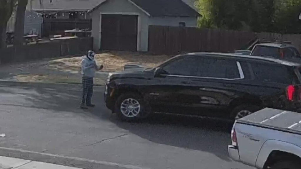 Woodland police dispute DHS account of ICE agent's collision with pedestrian — CBS Bay Area (KPIX), Monterey Health news