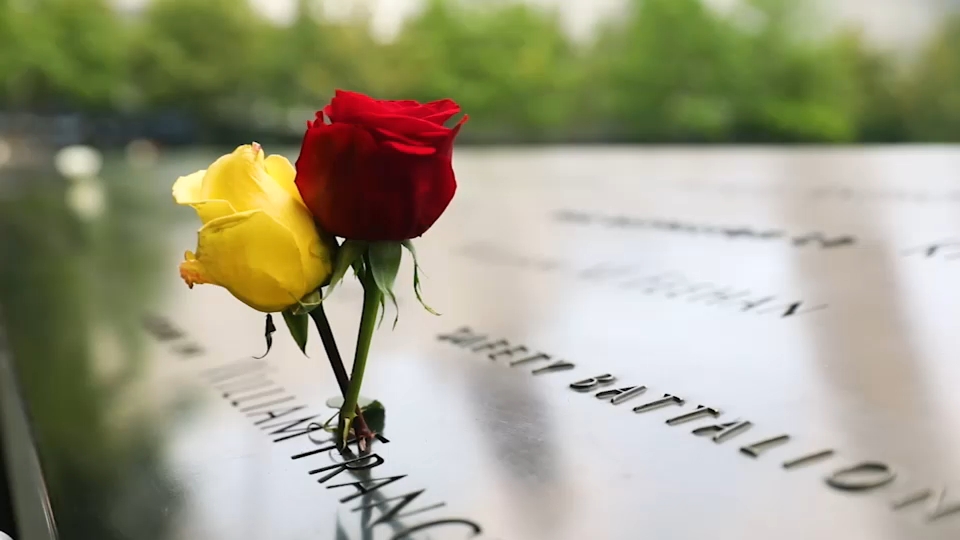 Second 9/11 victim identified with breakthrough genetic genealogy, NYC officials say
— ABC 7 Bay Area, Monterey Community news