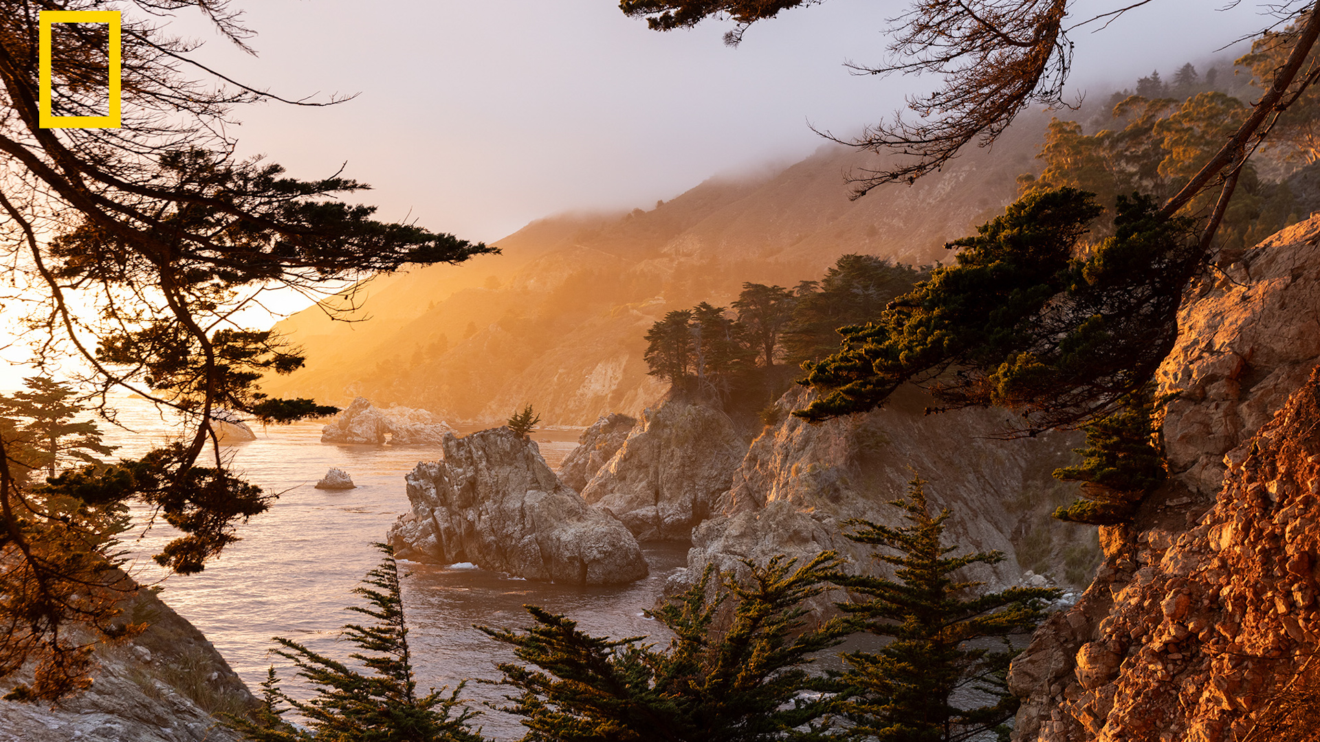 USA destinations included in National Geographic's best places in the world to visit in 2027
       — ABC 7 Bay Area, Monterey Community news
