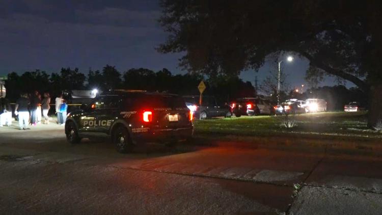HPD: Man dies after going for swim in Sims Bayou in southeast Houston — KHOU 11 (Houston), Monterey Sports news
