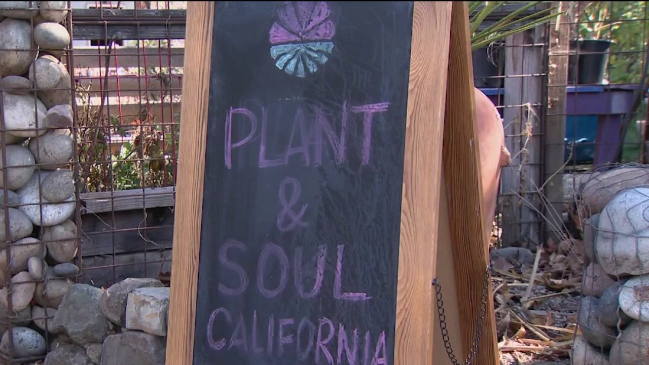 San Jose community garden faces possible eviction — KTVU FOX 2 Bay Area, Monterey Schools news