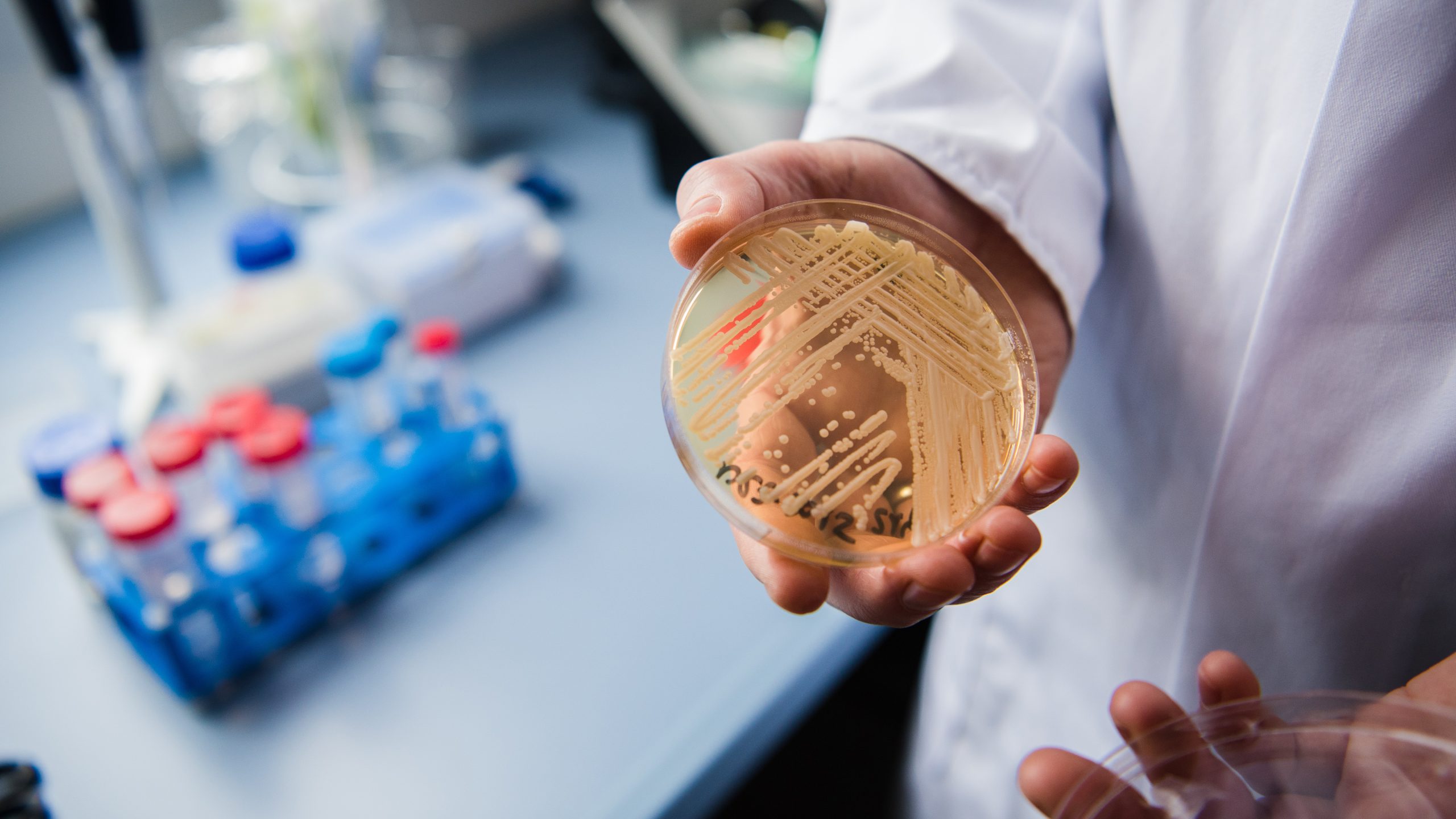 New study reveals why dangerous fungus is so difficult to treat — KTVU FOX 2 Bay Area, Monterey Community news