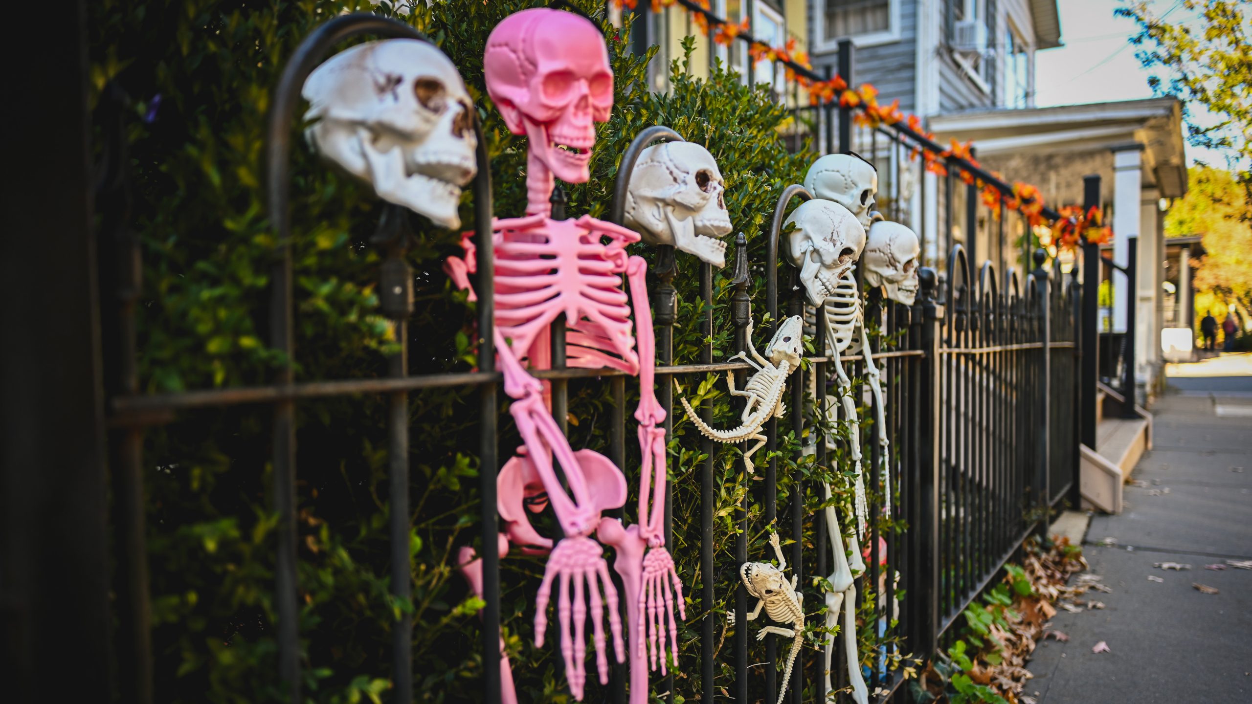 America's best cities for Halloween, ranked — KTVU FOX 2 Bay Area, Monterey Community news